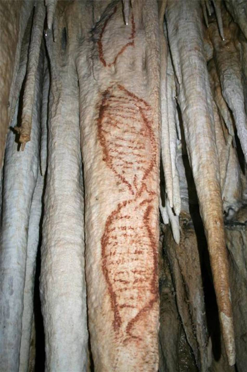 Illustration for article titled Neanderthals were apparently painting DNA 43,000 years ago